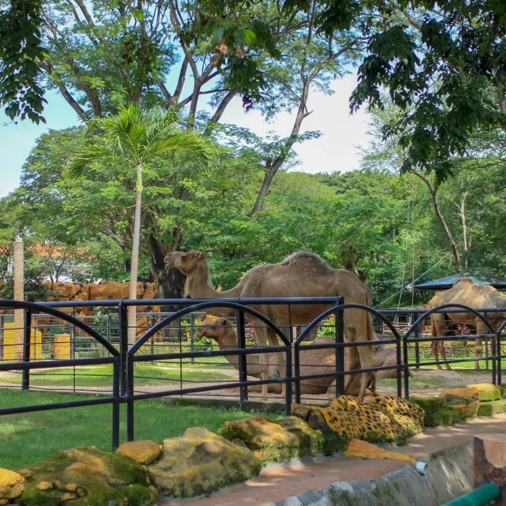 Liburan di Dago Bandung