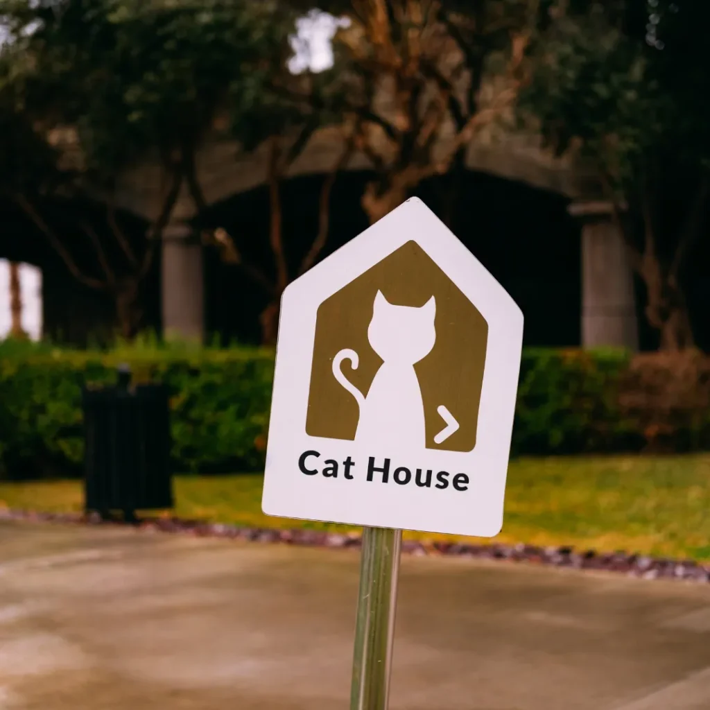 Wisata Rumah Kucing Bandung