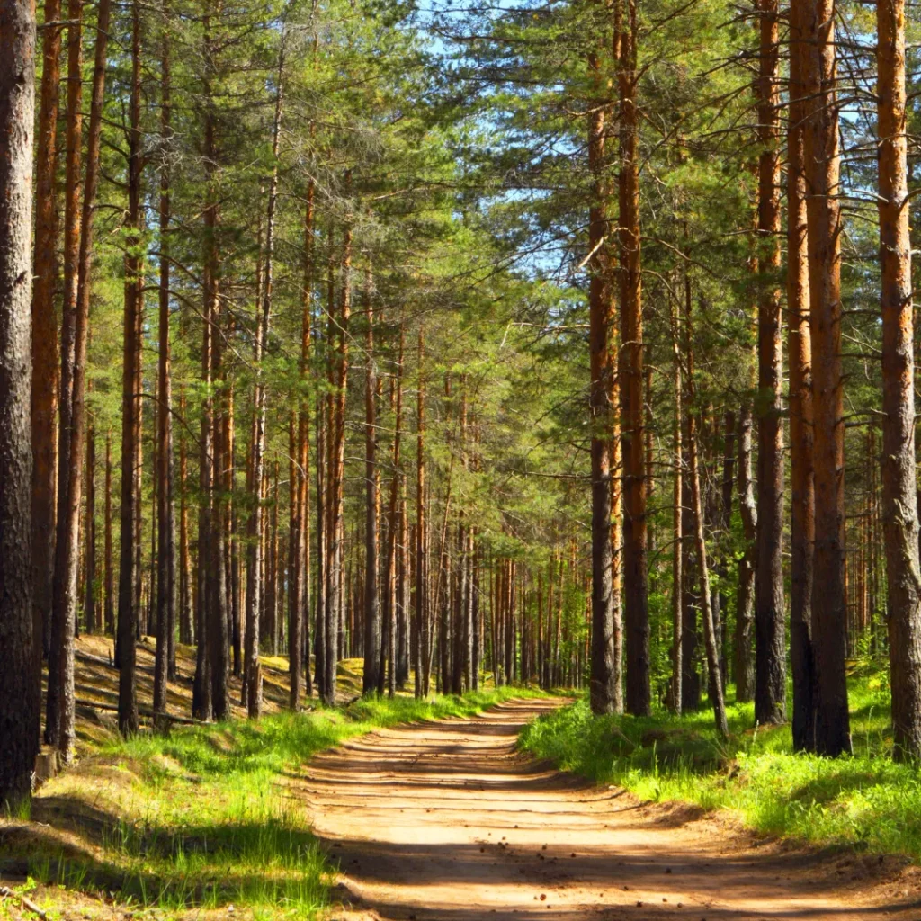 Liburan Akhir Pekan di Bandung