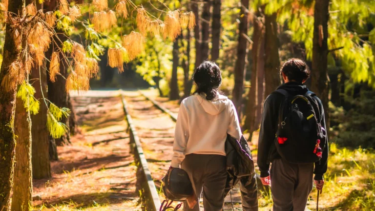 wisata hutan pinus bandung