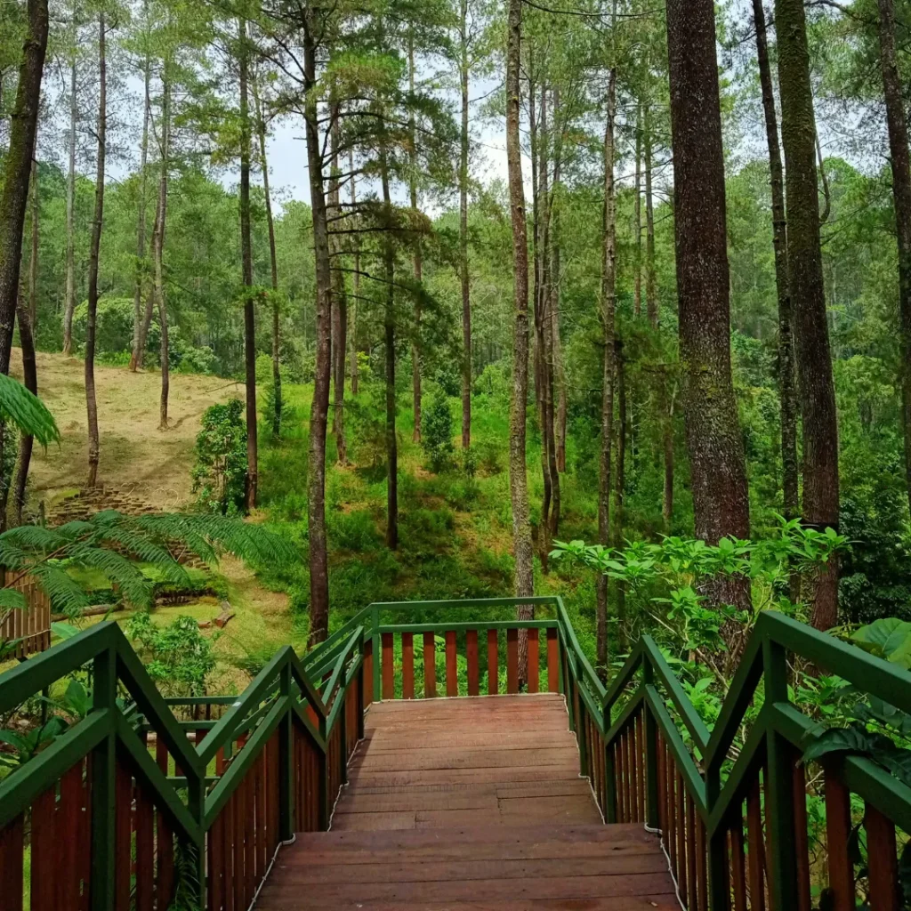 wisata hutan di bandung