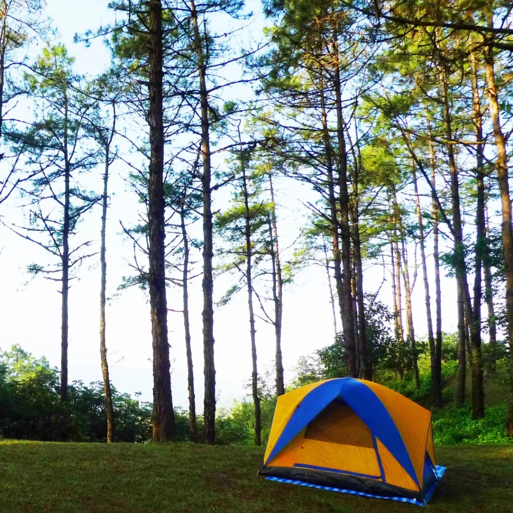 wisata hutan di bandung