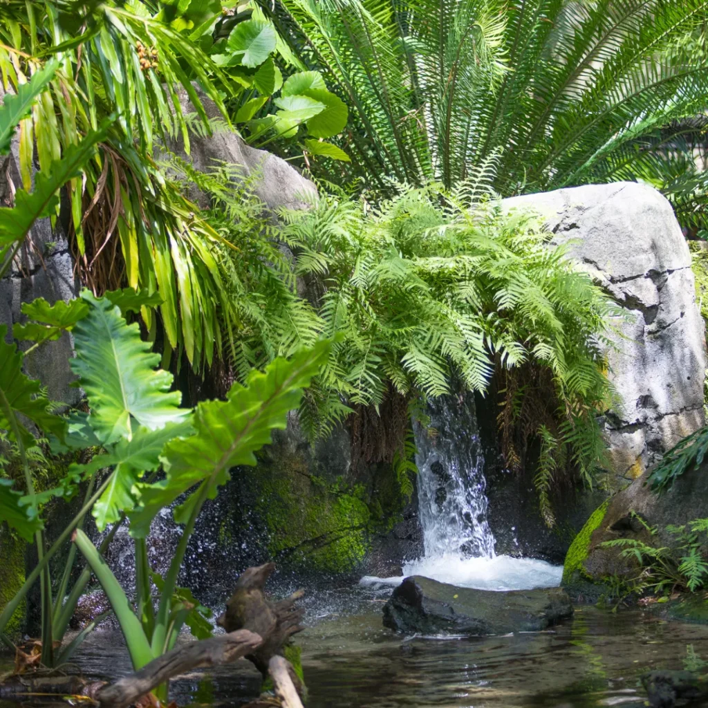 wisata hutan di bandung