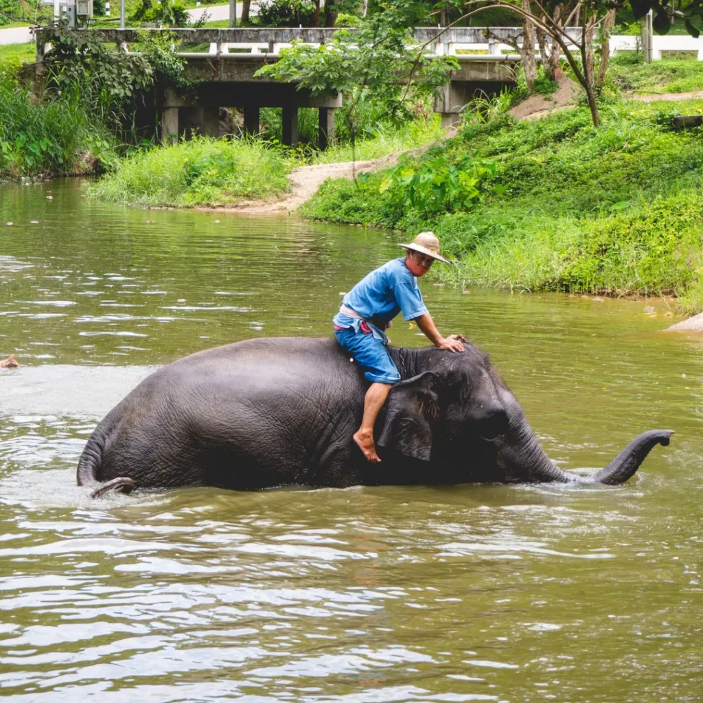 wisata kebun binatang bandung