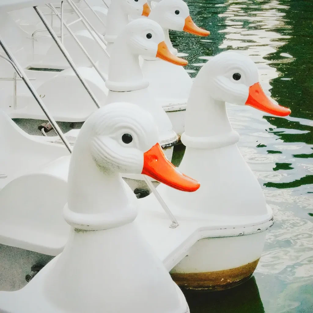 wisata kebun binatang bandung