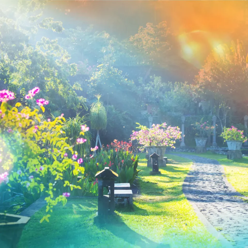 wisata bunga di bandung