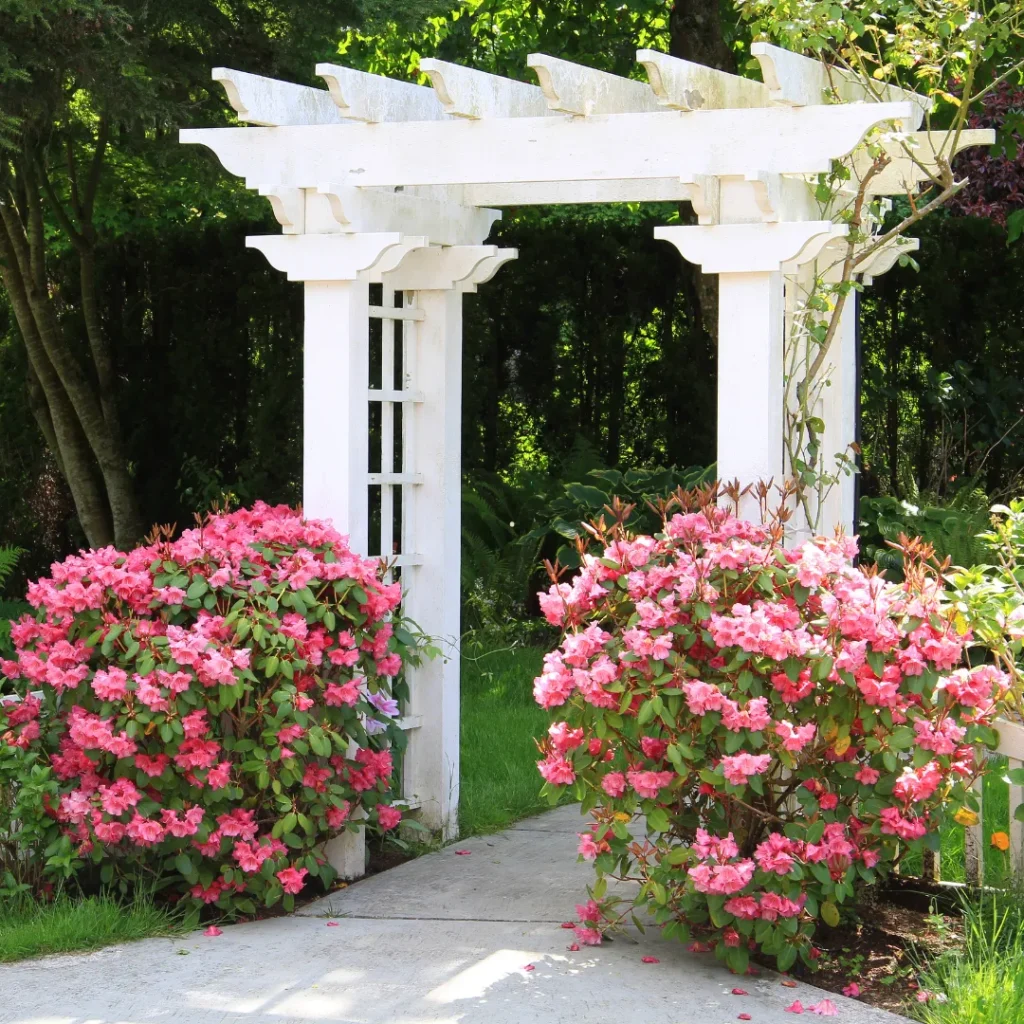 wisata bunga di bandung