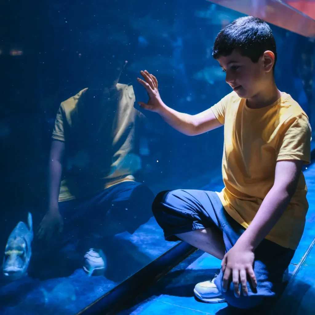 wisata aquarium bandung