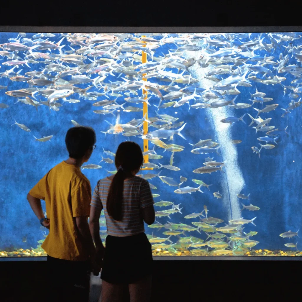 wisata aquarium bandung