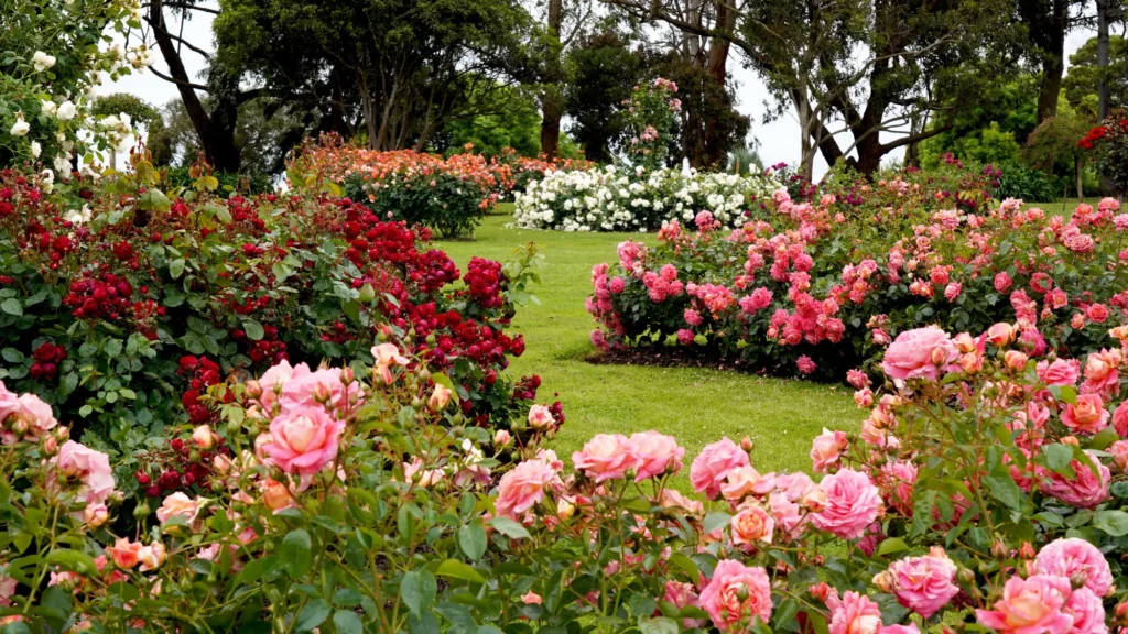 wisata bunga di bandung