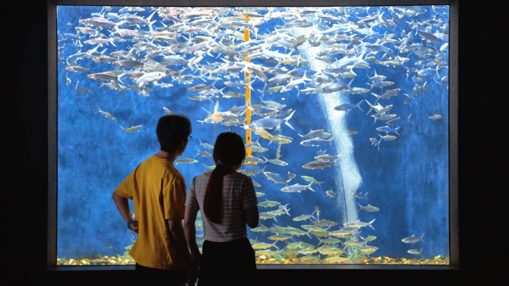 wisata aquarium bandung