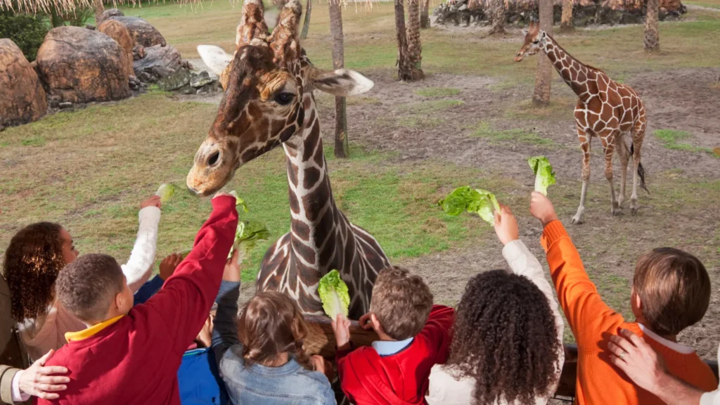 wisata kebun binatang bandung