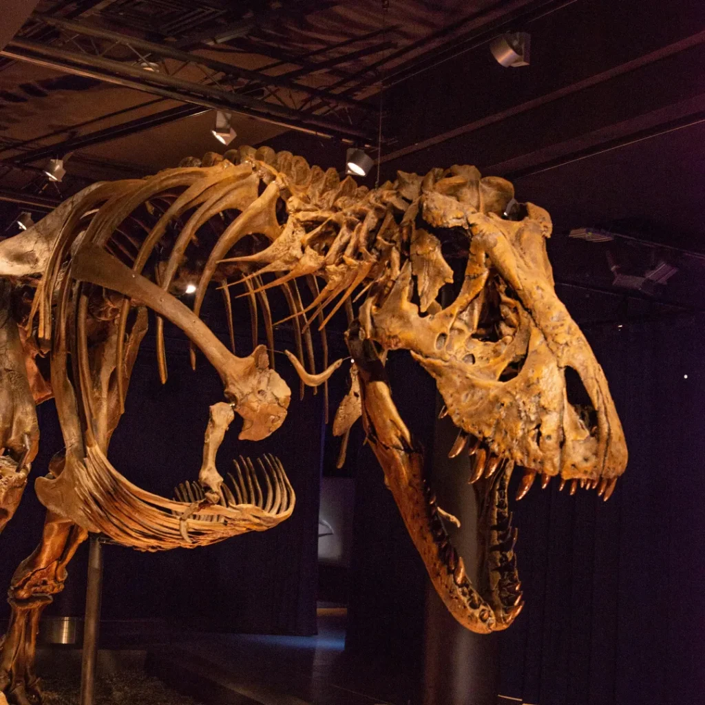 wisata museum geologi bandung