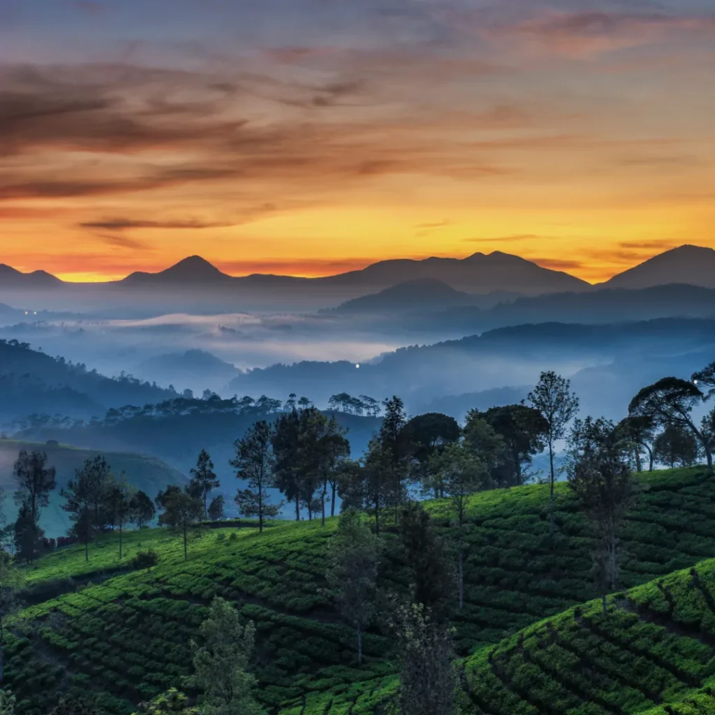wisata pagi hari di bandung