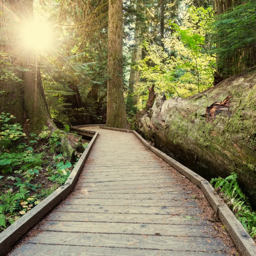 wisata pagi hari di bandung