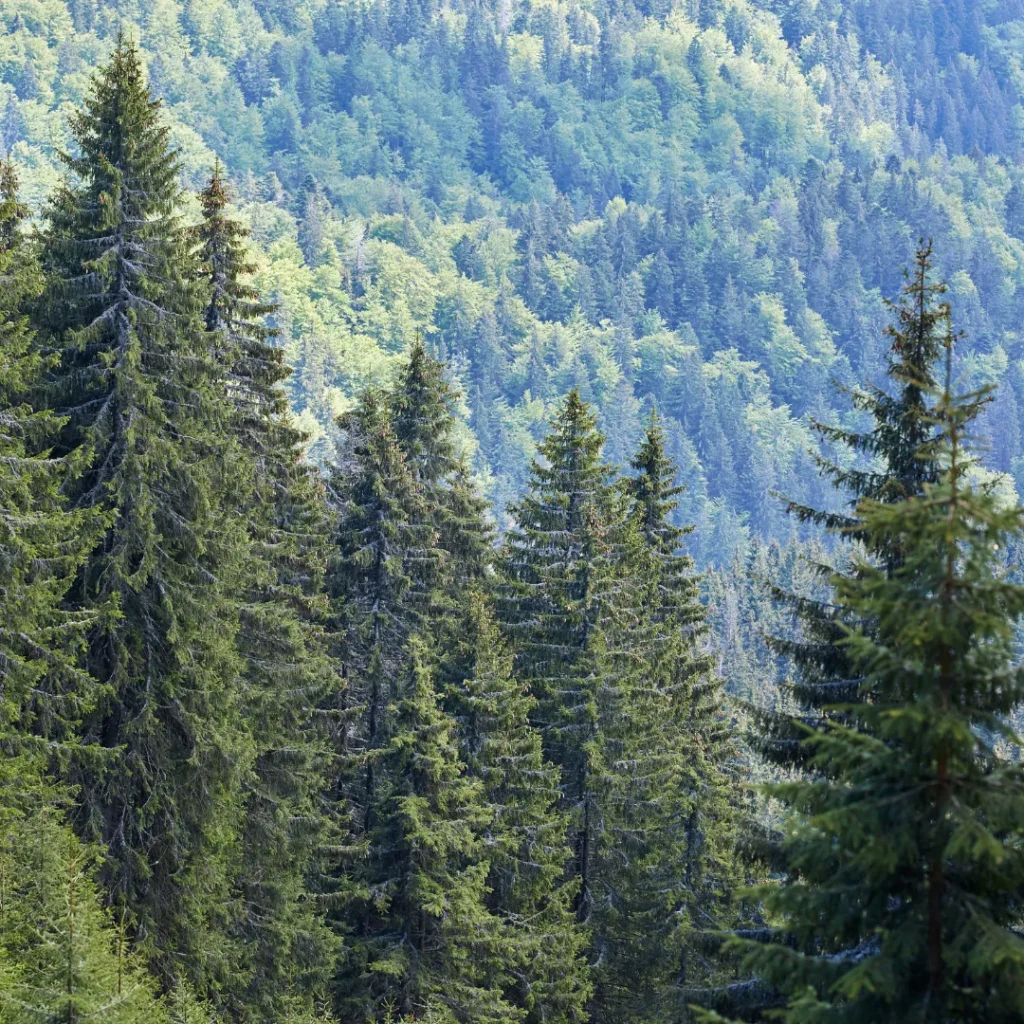 kenapa bandung sejuk