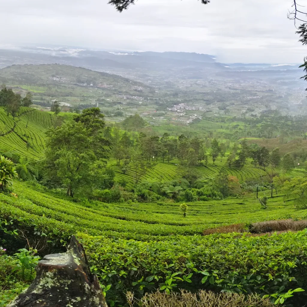 kenapa bandung sejuk