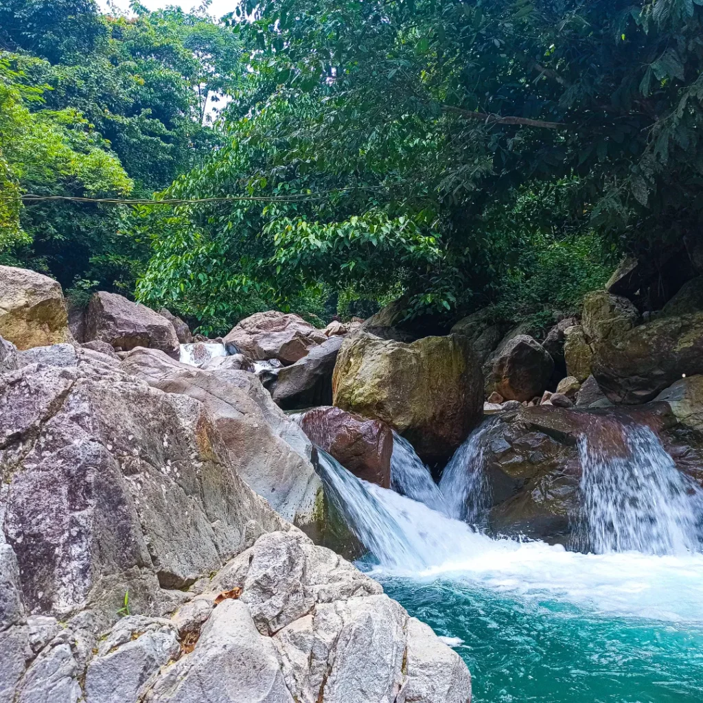 wisata hutan bambu di bandung