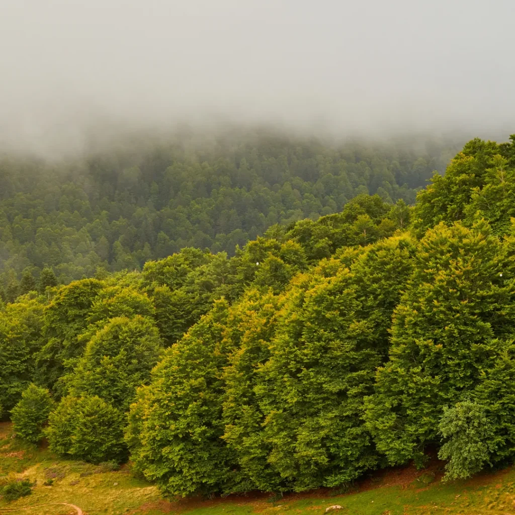 kenapa bandung dingin