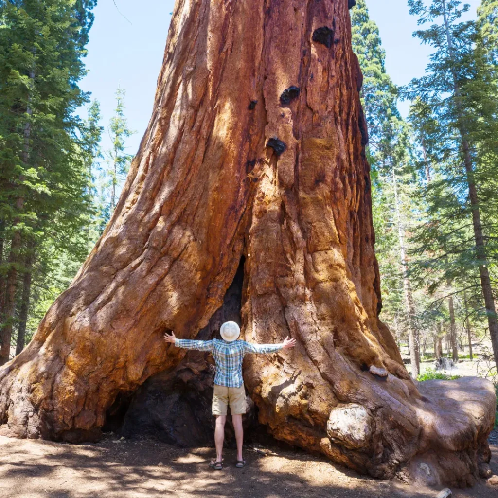 tempat liburan romantis di bandung