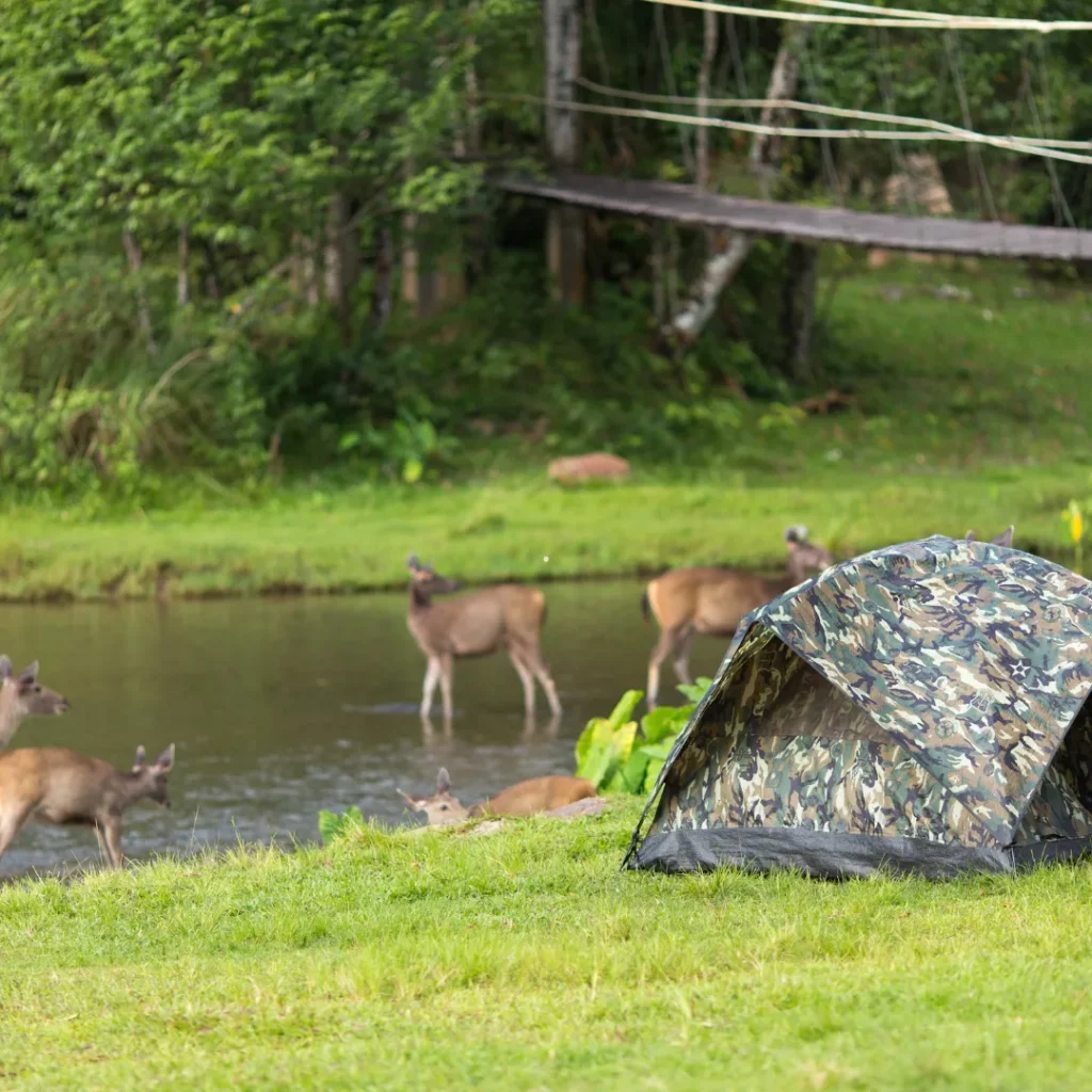 tempat liburan di ciwidey bandung