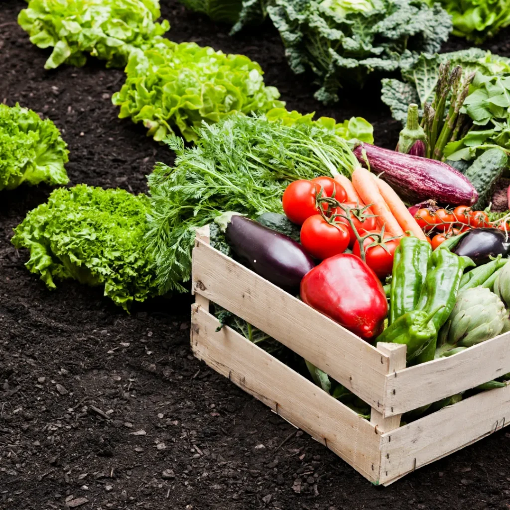 wisata pertanian di bandung