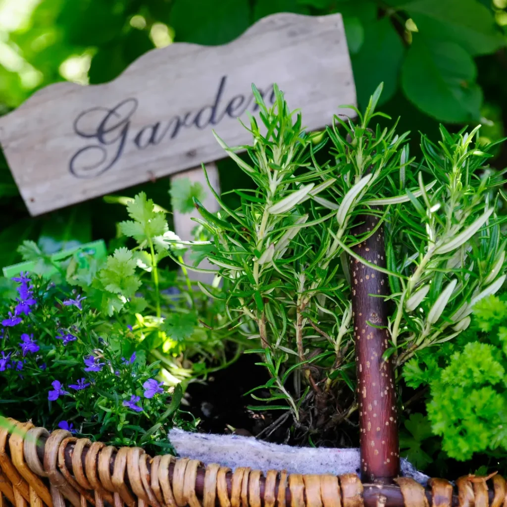 wisata pertanian di bandung