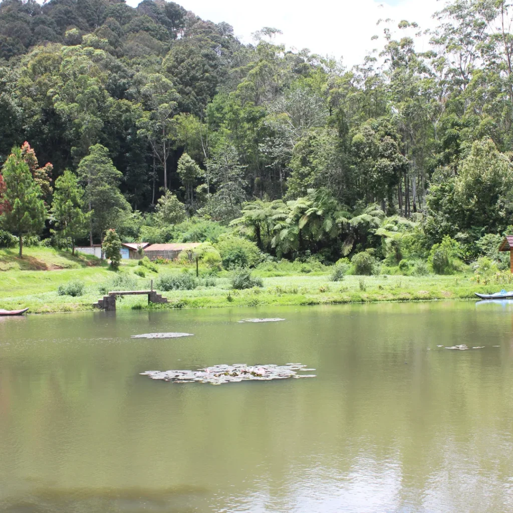 tempat wisata ciwidey bandung