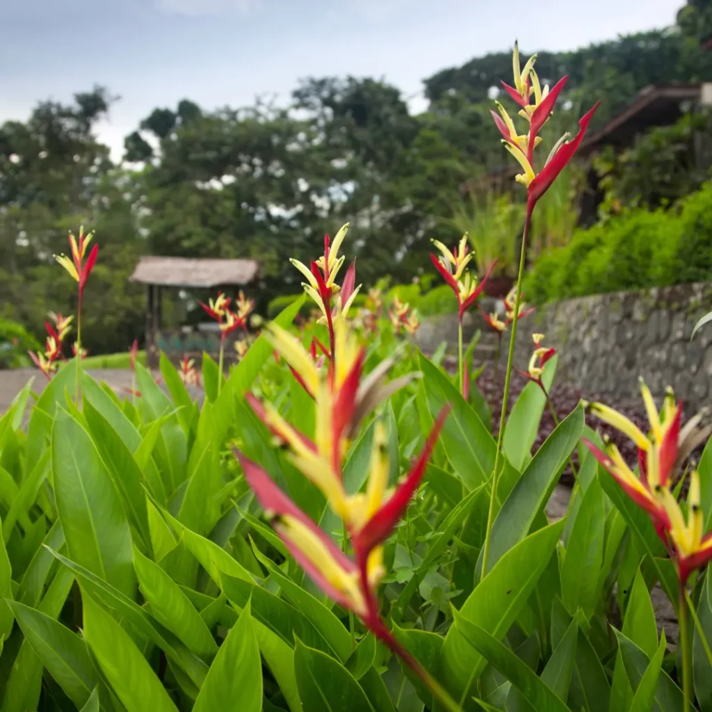 travel liburan ke bandung