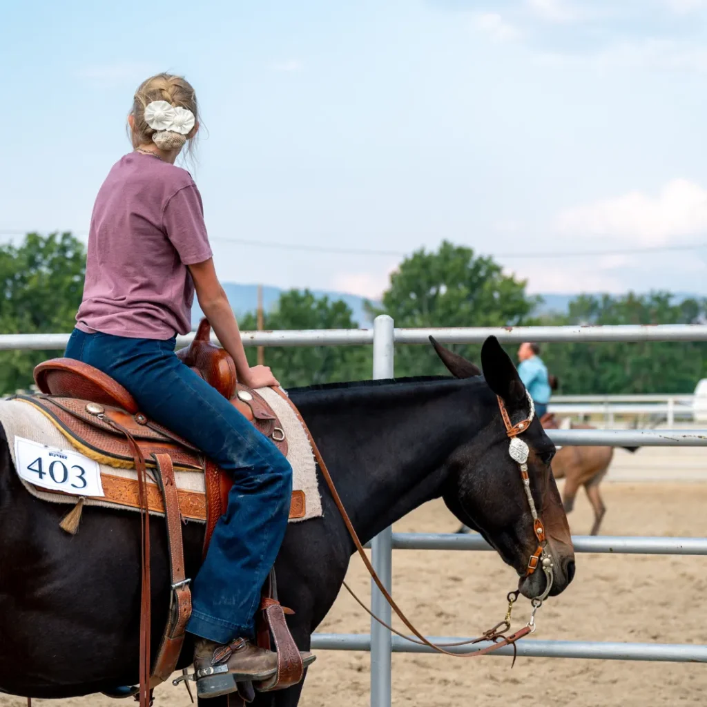 wisata kuda pakuhaji bandung