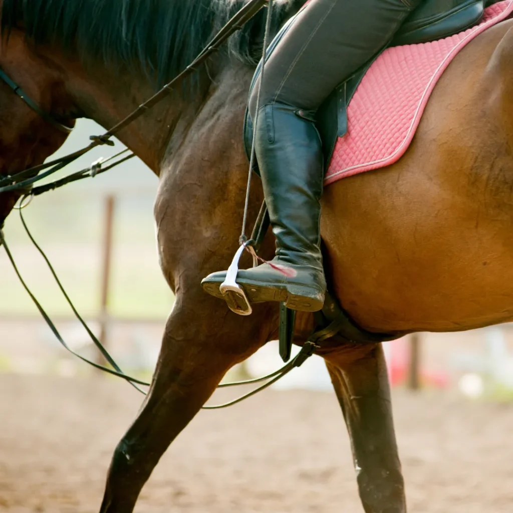 wisata kuda pakuhaji bandung