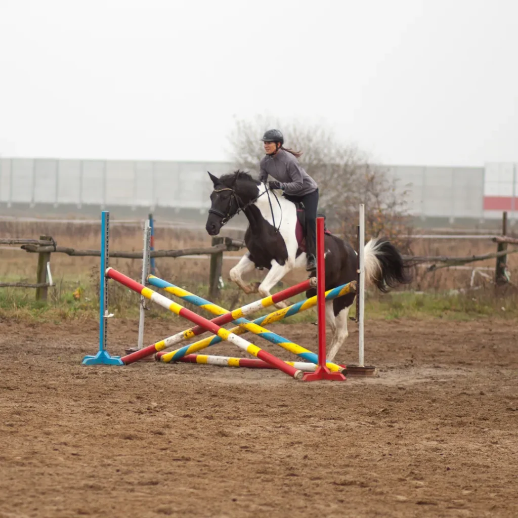 wisata kuda pakuhaji bandung