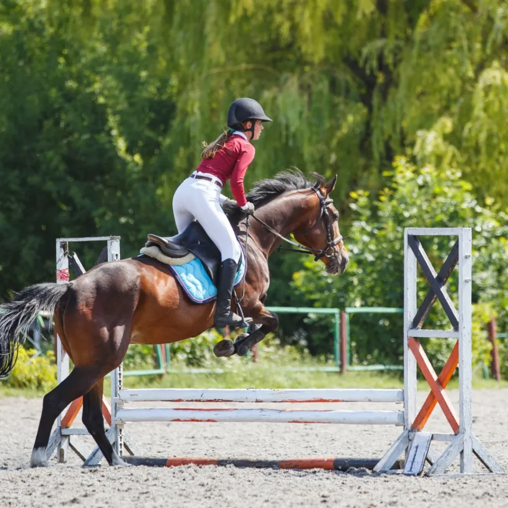 wisata kuda pakuhaji bandung