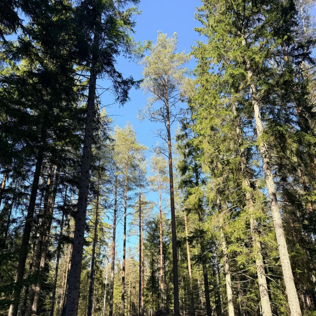 Wisata Gunung Puntang Bandung