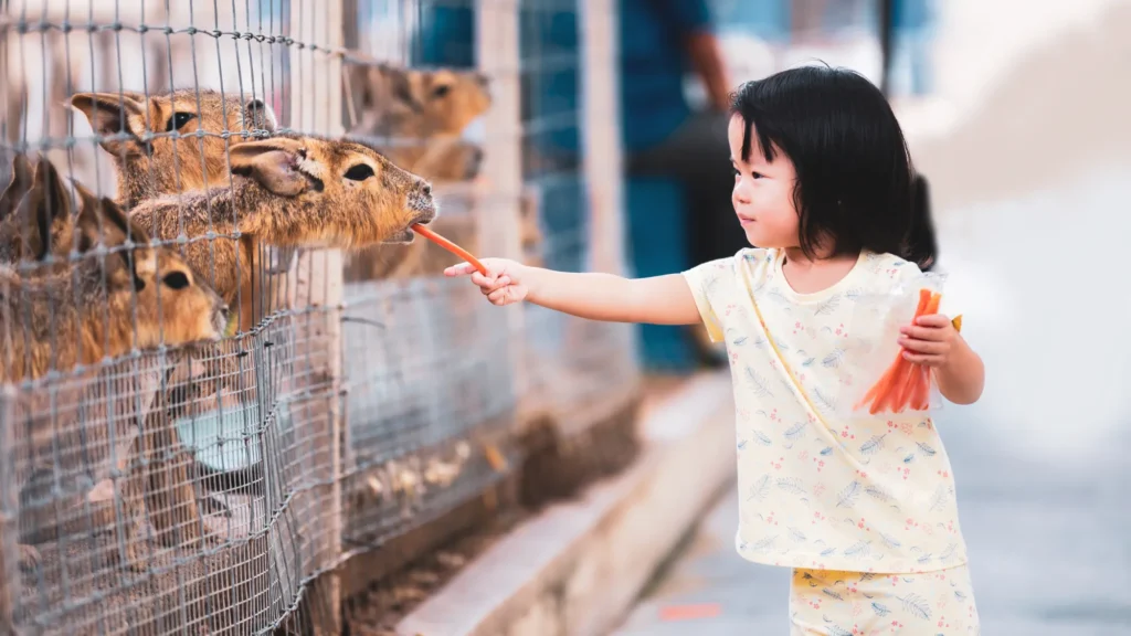 kenapa bandung zoo tutup